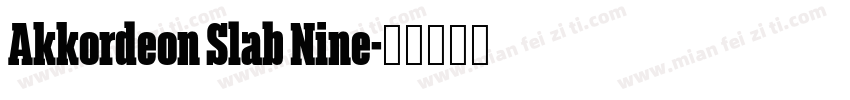Akkordeon Slab Nine字体转换